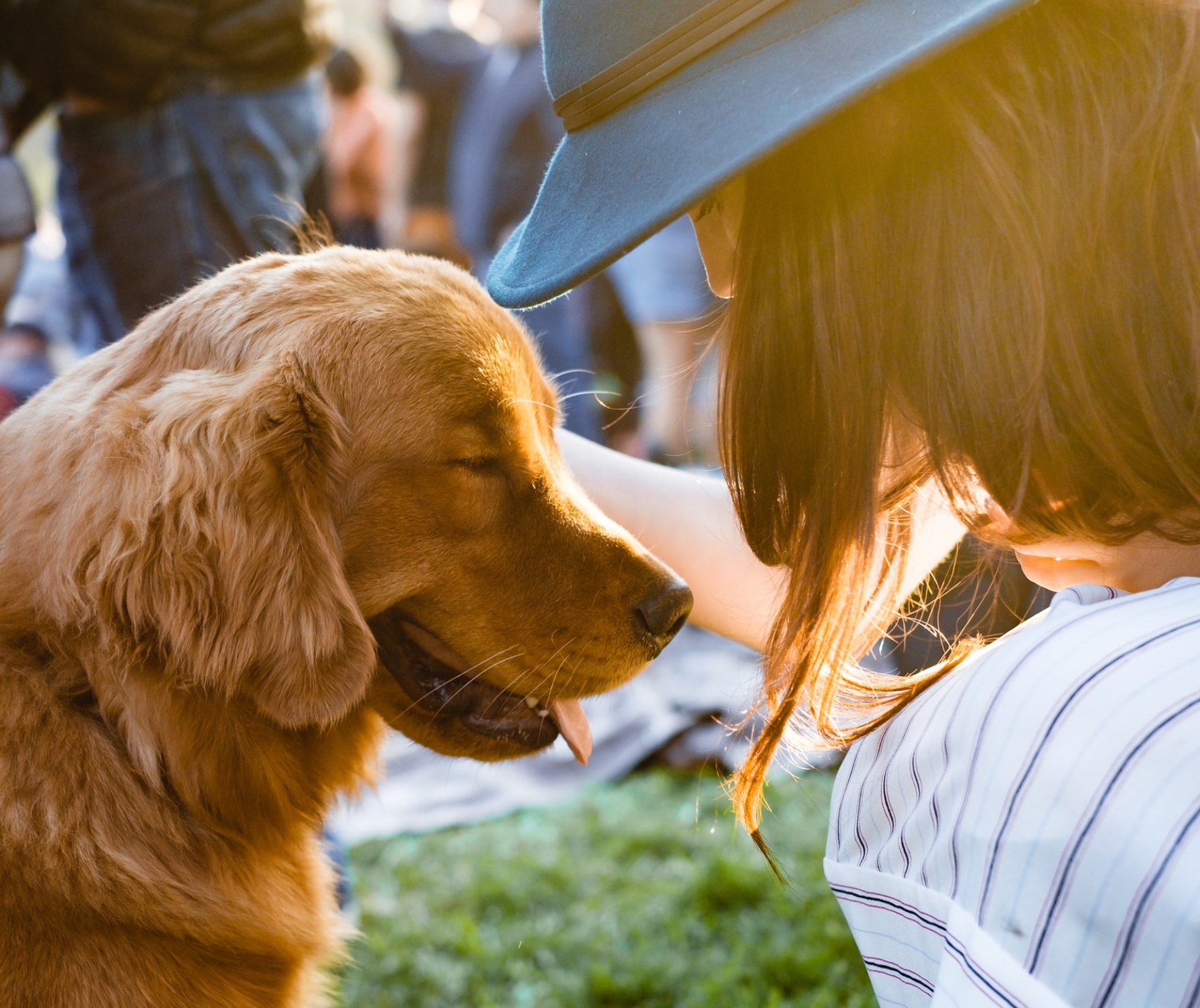 あなたと新しい家族の出会いがここにある